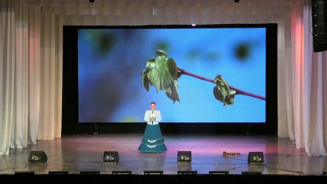 Благотворительный концерт в поддержку СВО смотреть онлайн