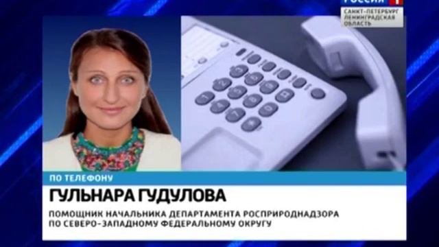 Специалисты Росприроднадзора озвучили результаты проб из реки Ижора