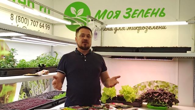 Съедобные цветы. Вводное видео.