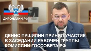 Денис Пушилин принял участие в заседании рабочей группы комиссии Госсовета РФ