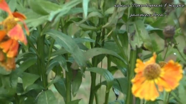 Грядки можно не копать,но иногда это необходимо смотреть онлайн