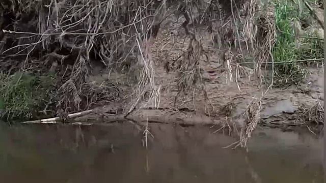 РПВД р.Сестра + летающая лягушка ? смотреть онлайн