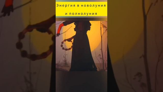 Энергия новолуния и полнолуния. #shorts