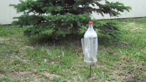 Бутылка от кротов