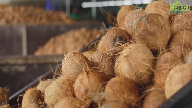 Что и как производят из кокоса.