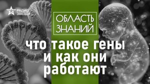 Что зашифровано в нашей ДНК? Лекция генетика Дмитрия Кривошеева