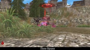 Гид. Прокачка или кач 110 +. Lineage 2 main Ruoff. Airin