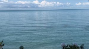 8 мая, город Сочи!