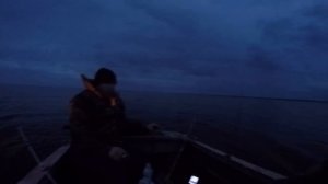 Ловля судака на Ладоге