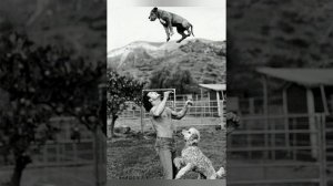 "Страстный танец с жизнью" Патрика Суэйзи (биография)