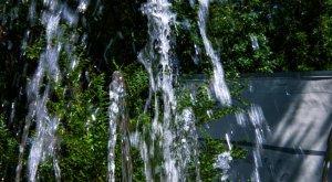 Нырнул рыбкой: 20-летний парень утонул в фонтане в московском районе Щукино