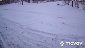 Переделанный квадроцикл ЗИМ 350 с мотором 150 кубов 4т в роботе по расчистке снега.