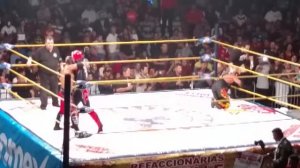 Perro Aguayo Jr. passes away in wrestling match.