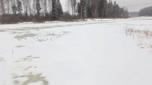 Встал лёд д.Якунино Истринский район,речка Чернушка.04.12.2017г.