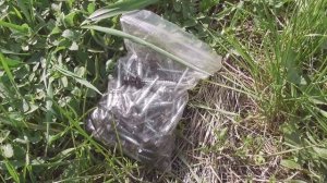 DIY. Оригинальный деревянный забор своими руками.