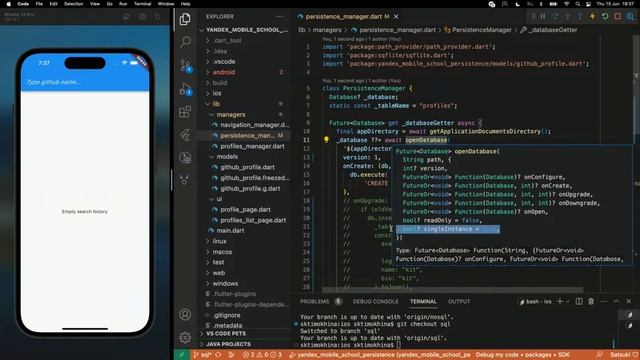Flutter Persistence смотреть онлайн