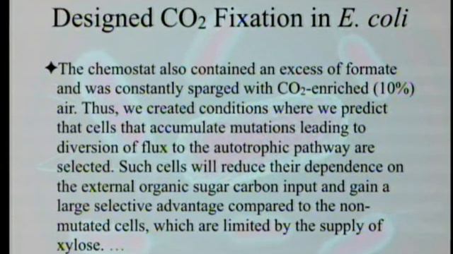 Designed CO2 Fixation in E. coli 12-14-2019 by Paul Giem
