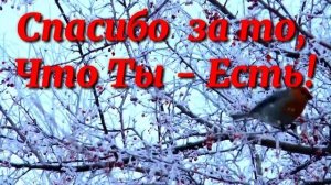Самые красивые слова благодарности Подруге !