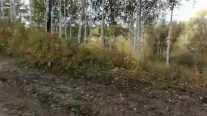 дорога на чулым