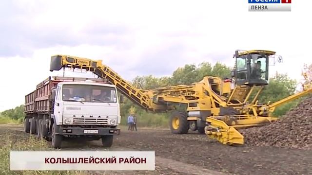 В Пензенской области начата уборка сахарной свеклы смотреть онлайн