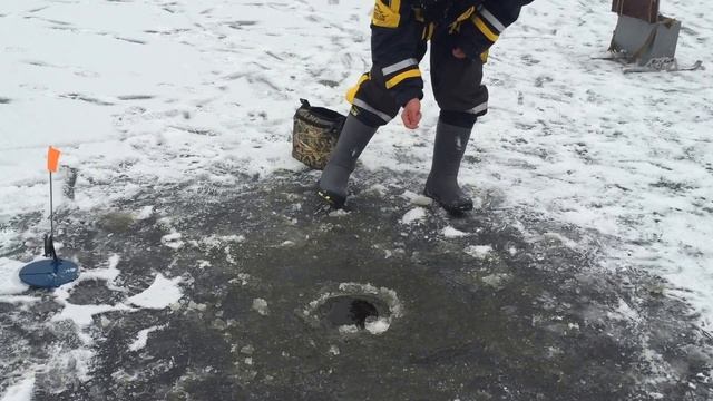 Ловля щуки по первому льду смотреть онлайн