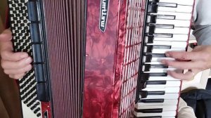 Аккордеон Вельтмейстер полный 89373651154