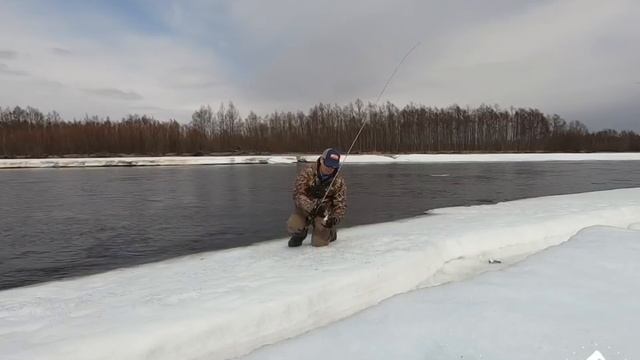 Река Ола. Магаданская область. 04.05.2019. Ловля весеннего гольца (мальмы) смотреть онлайн