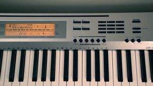 CASIO CDP-230 Обзор, видео инструкция ч.5 (регистрационная память)