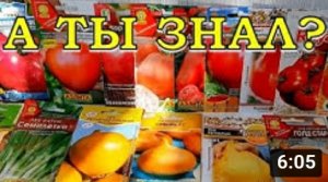 Эти ОВОЩИ и ЯГОДЫ сеем в ЯНВАРЕ на рассаду???
