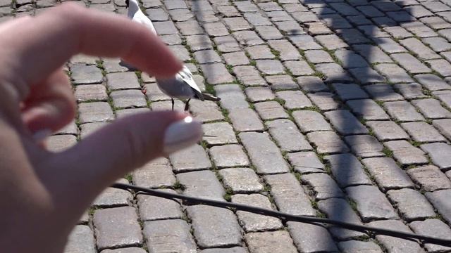 Хельсинки // ФИНЛЯНДИЯ // ПРИВЕТ от иностранца // travelling 💕 смотреть онлайн