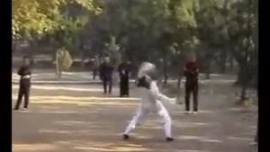 dragon form kung fu