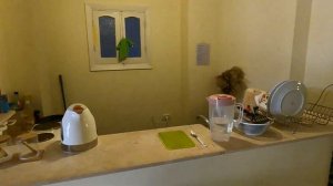 Трёхкомнатная квартира в Хургаде за $12000