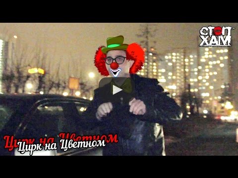 СтопХам - Цирк на Цветном смотреть онлайн