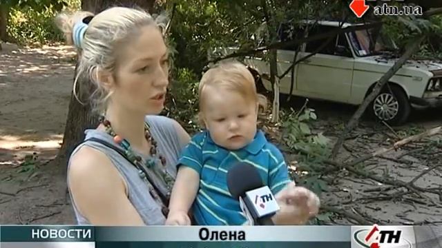 18.06.13 - Сразу два автомобиля разбило дерево во дворе дома. смотреть онлайн