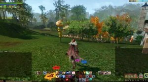 ArcheAge.Свободные места для постройки дома(пугала)