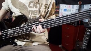 Puscifer - The Remedy (Bass cover)