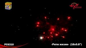 РС6310 Ритм жизни