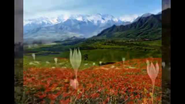 Альпийские луга смотреть онлайн