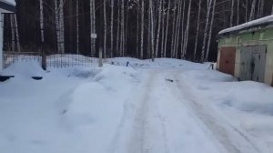 как заброшенные гаражи достаются за 0 руб.