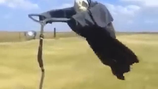 Короткие приколы № 1 смотреть онлайн