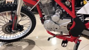 Кроссовый мотоцикл WELS MX 250 21/18