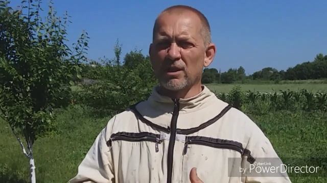 Если матка сеет трутня - принимаем меры. смотреть онлайн