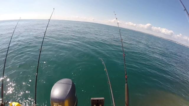 Bushcraft & Fishing - How To GUT & CLEAN FISH | BUSHCRAFT BOWDRILL FIRE | BAKED FISH смотреть онлайн