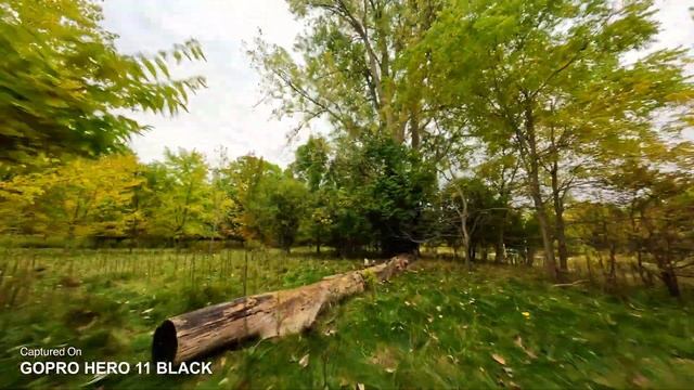 GoPro Hero 11 Black Mounted On DJI Avata - GoPro ReelSteady Flight Footage смотреть онлайн