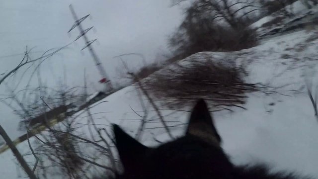 Рэд