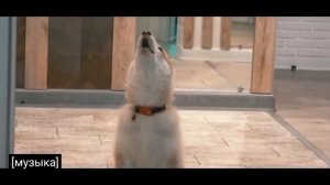 Я НЕ мелкий я Не дрыщ! и подпищиков сто тыщ!