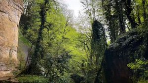 Один день в Абхазии / Сухум / Шакуранский каньон / Apsny trekking