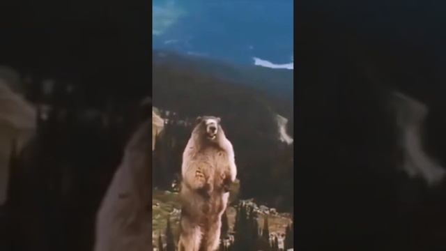 Shorts - А я Прошу Тебя - Подписаться на канал нэнси