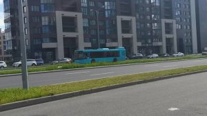 Транспортная реформа Санкт-Петербурга в Красносельском районе [2022]