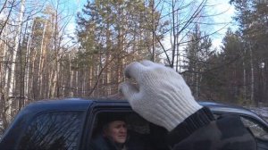 Нагонка русской гончей